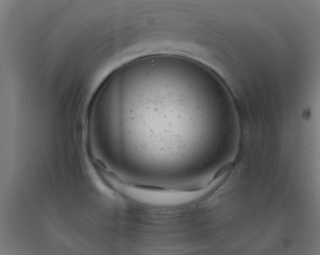 X0000092311515200709281336
