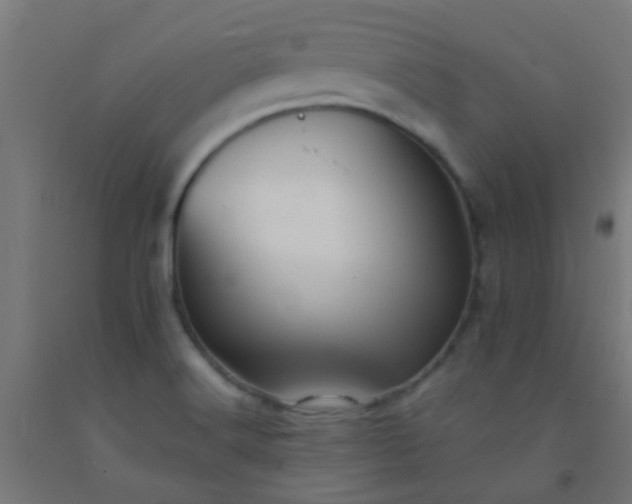 X0000092311516200709281336
