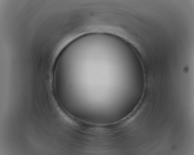 X0000092311517200709281336