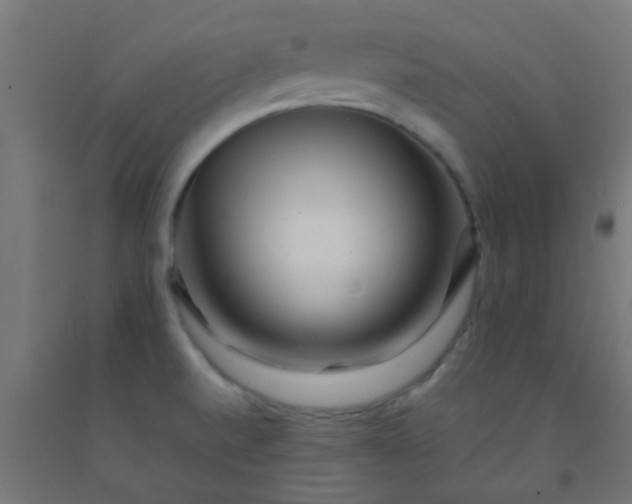 X0000092311520200709281336