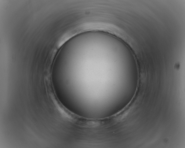 X0000092311521200709281336