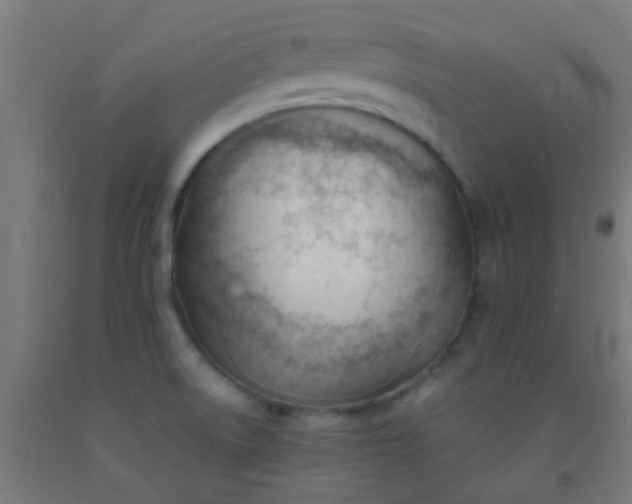 X0000092311522200709281336