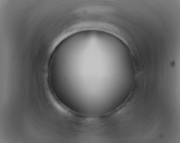 X0000092311523200709281336