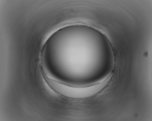 X0000092311524200709281336