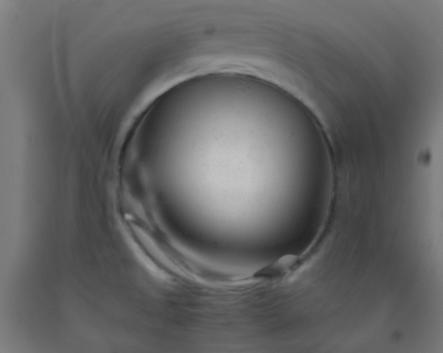 X0000092311525200709281336