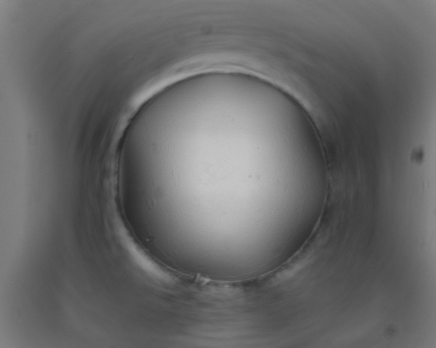X0000092311526200709281336