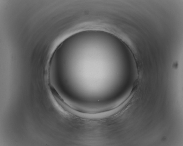 X0000092311528200709281336