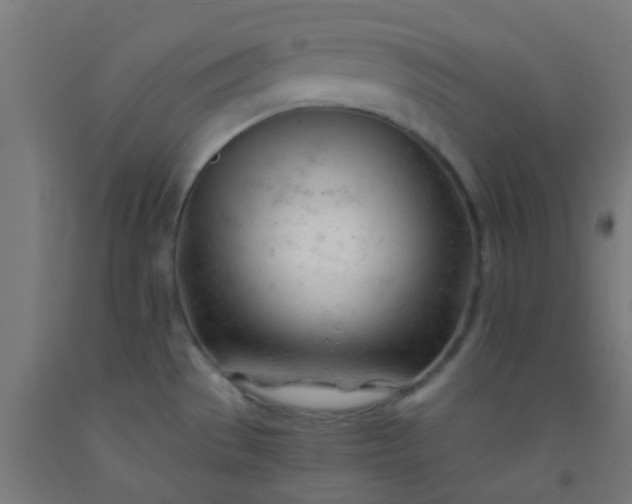 X0000092311529200709281336