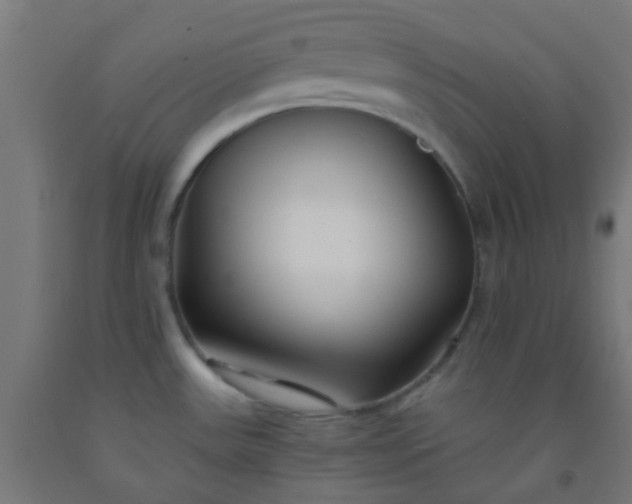 X0000092311531200709281336