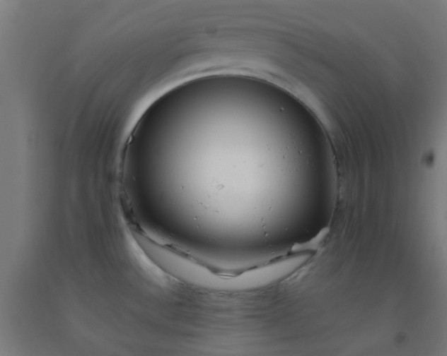X0000092311532200709281336