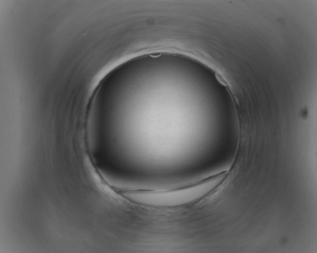 X0000092311534200709281336