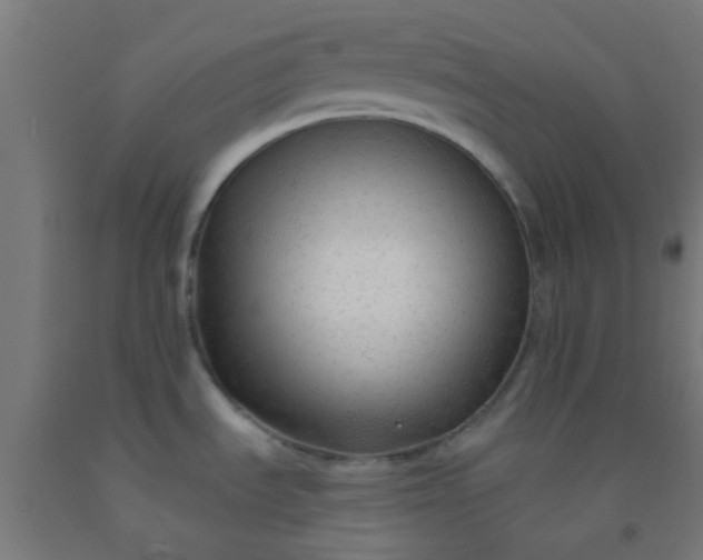 X0000092311535200709281336