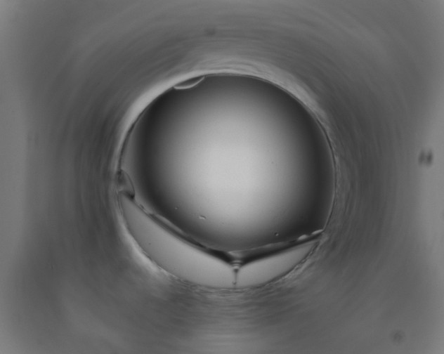 X0000092311536200709281336