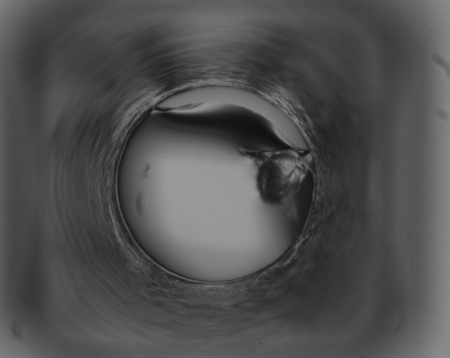 X0000092310001200710051247