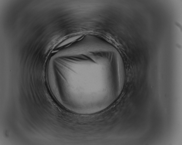 X0000092310002200710051247