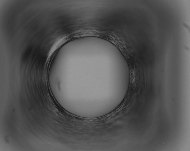 X0000092310004200710051247