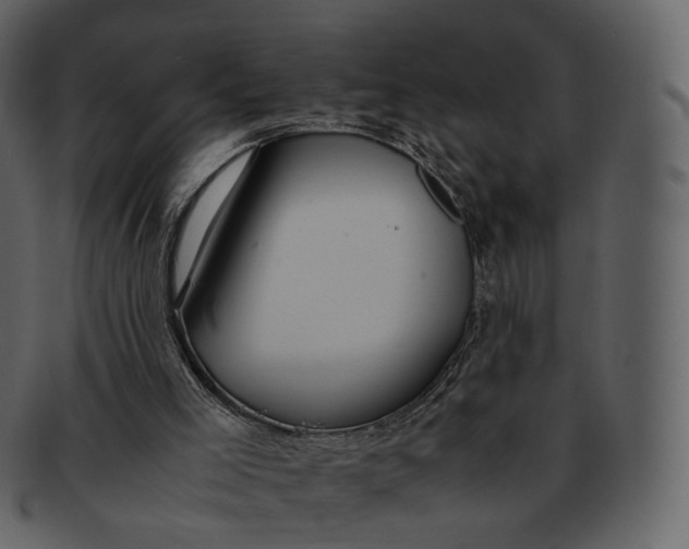 X0000092310005200710051247