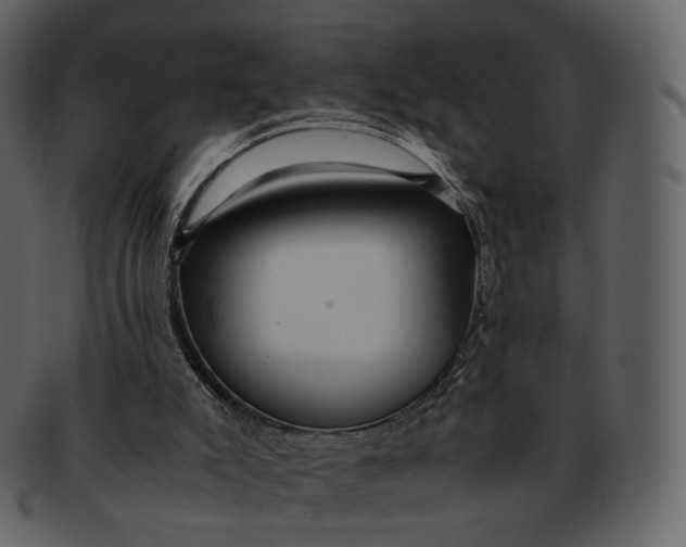 X0000092310007200710051247