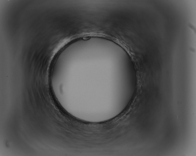 X0000092310008200710051247