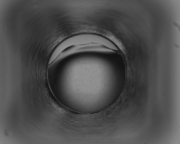 X0000092310009200710051247