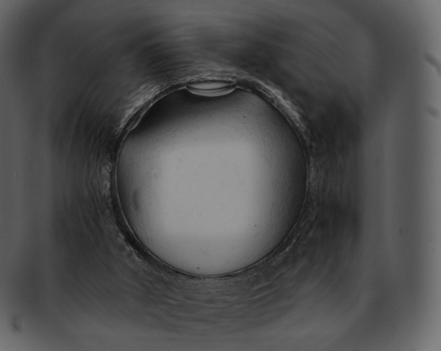 X0000092310010200710051247