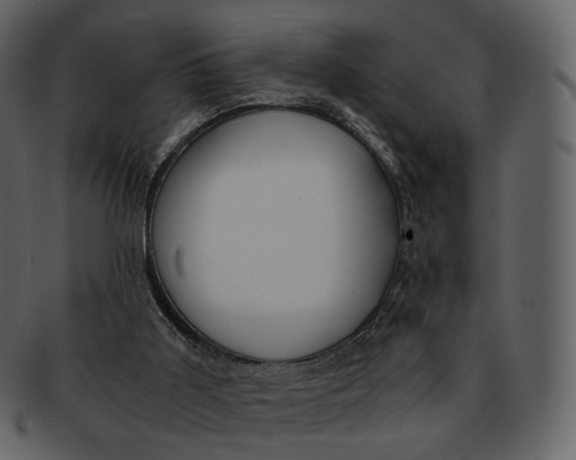 X0000092310011200710051247