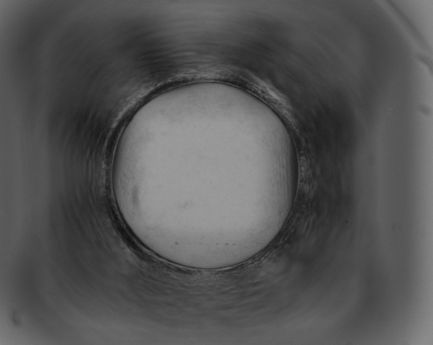 X0000092310012200710051247