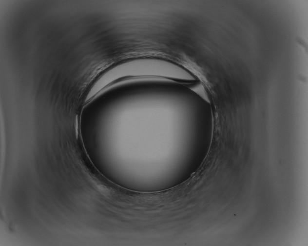 X0000092310013200710051247