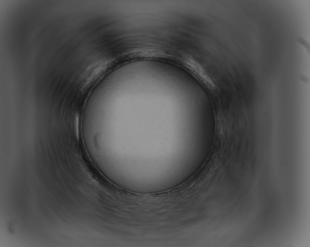 X0000092310014200710051247