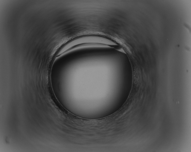X0000092310015200710051247