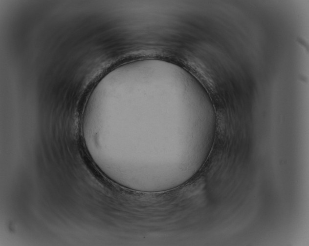 X0000092310016200710051247
