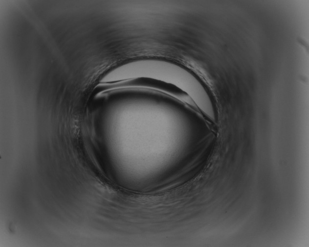 X0000092310017200710051247