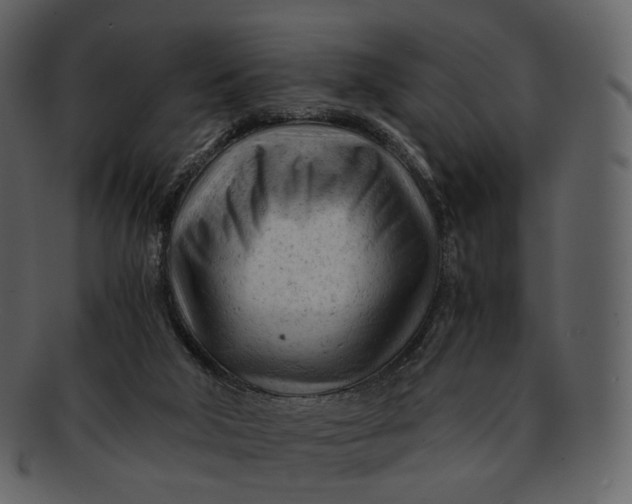 X0000092310018200710051247