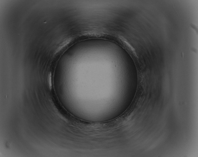 X0000092310020200710051246