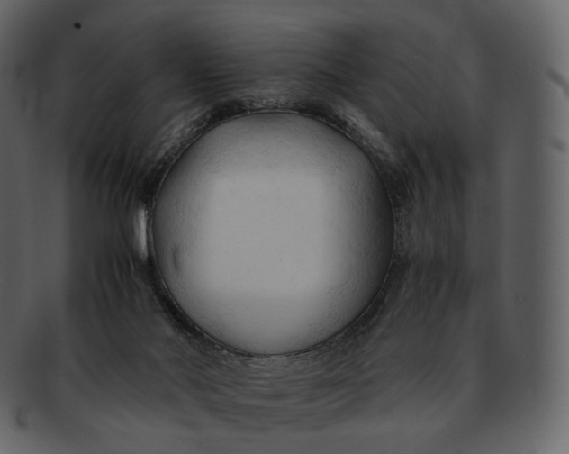 X0000092310022200710051246
