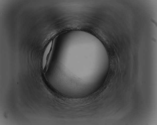 X0000092310023200710051246