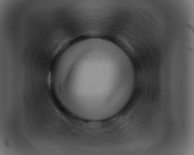 X0000092310024200710051246