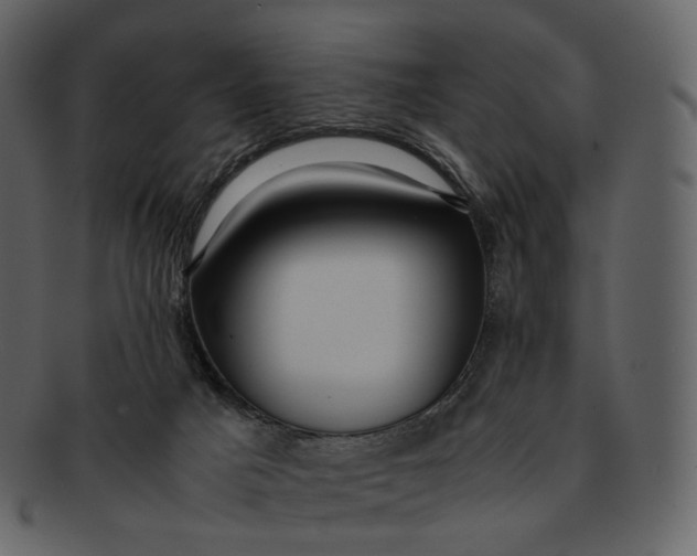 X0000092310025200710051246