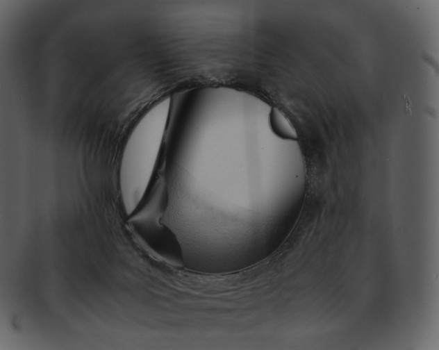 X0000092310027200710051246