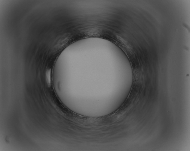 X0000092310028200710051246