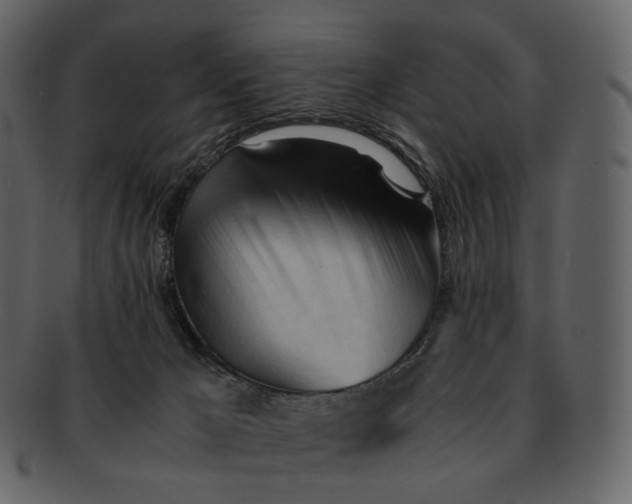 X0000092310029200710051246