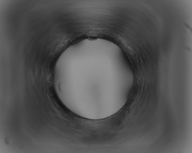 X0000092310031200710051246