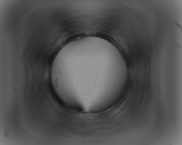 X0000092310032200710051246