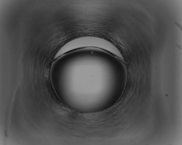 X0000092310033200710051246