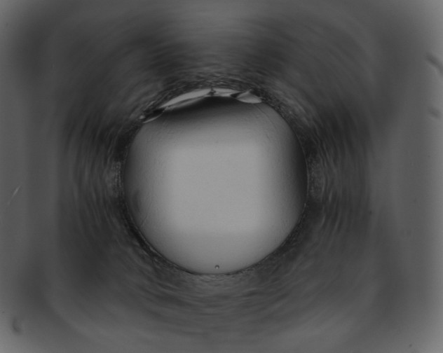X0000092310034200710051246