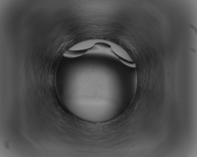 X0000092310035200710051246