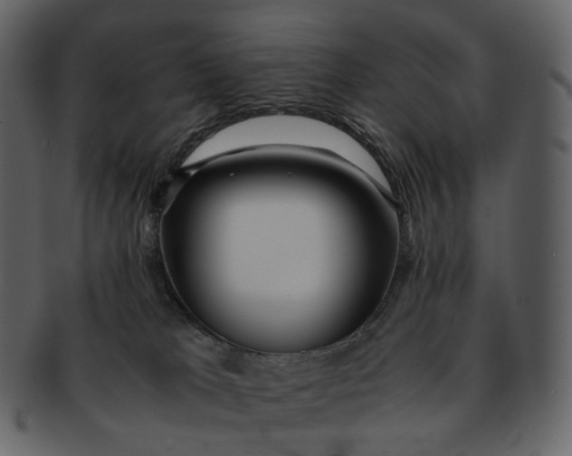 X0000092310037200710051246