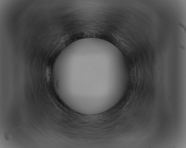 X0000092310038200710051246