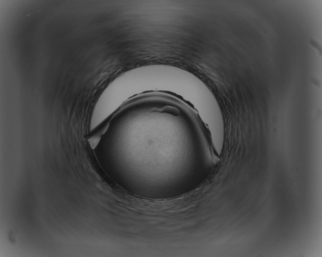 X0000092310039200710051246