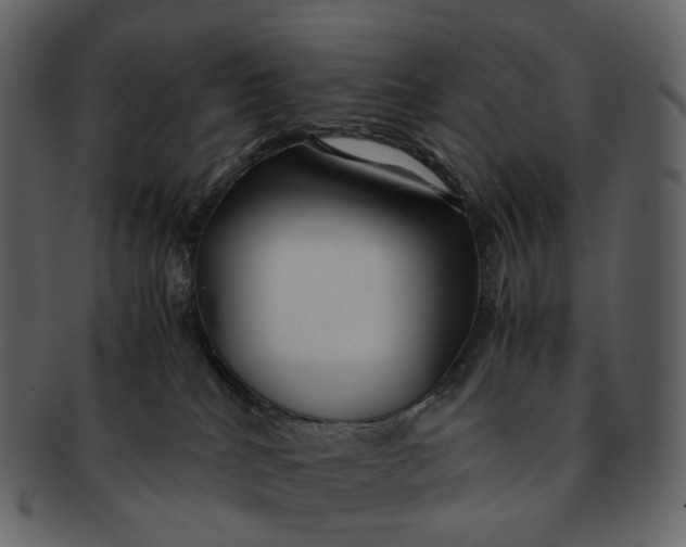 X0000092310040200710051246
